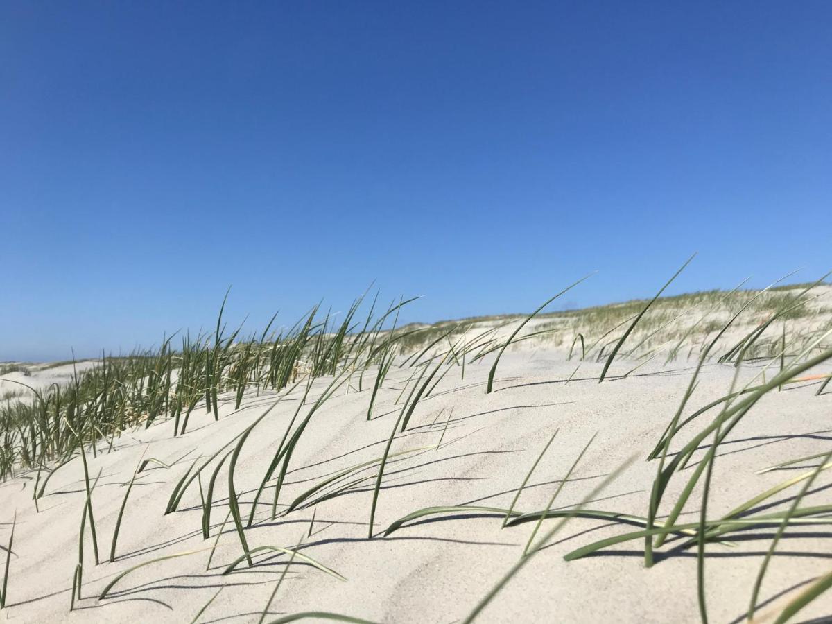 Ferienhaus-Nordseebirke Suderdeich Exteriör bild